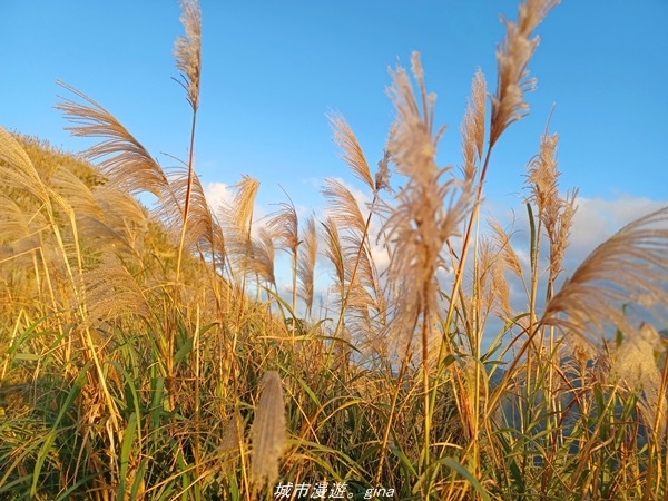 20211211_163758.jpg 20211211_163758.jpg