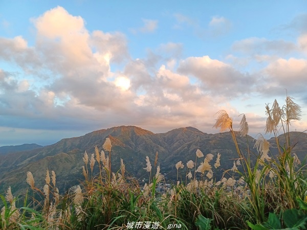 20211211_164908.jpg 20211211_164908.jpg