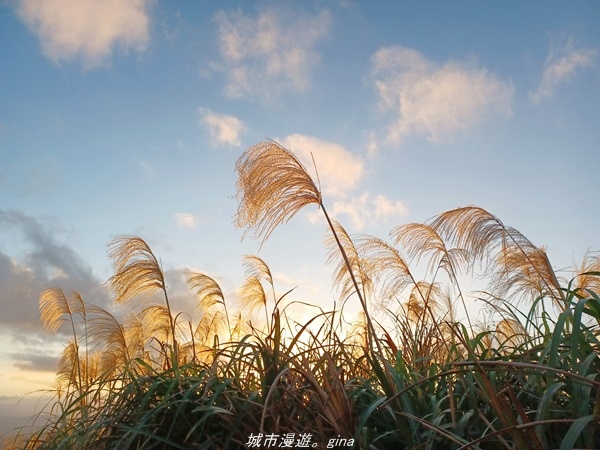 20211211_164832.jpg 20211211_164832.jpg