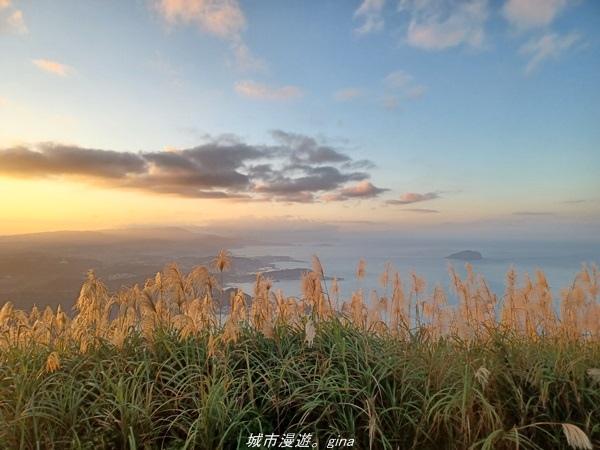 20211211_165054.jpg 20211211_165054.jpg