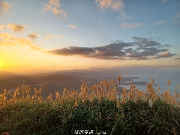 20211211_165056.jpg 20211211_165056.jpg