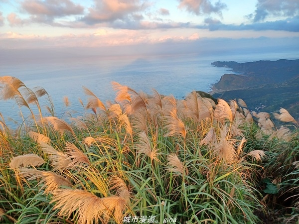 20211211_165006.jpg 20211211_165006.jpg