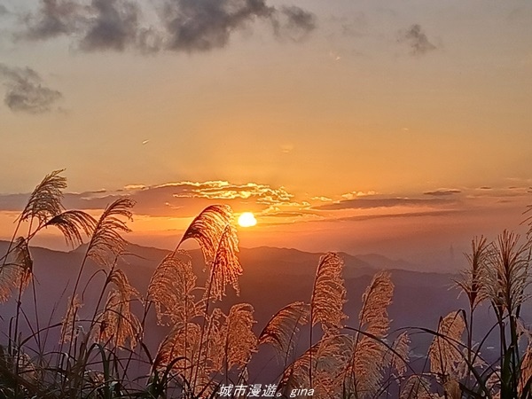 20211211_165708.jpg 20211211_165708.jpg