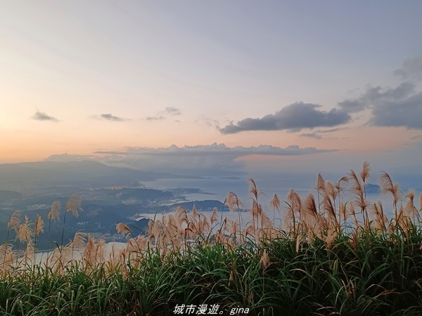 20211211_171614.jpg 20211211_171614.jpg