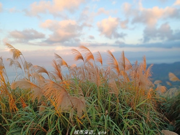 20211211_165019.jpg 20211211_165019.jpg