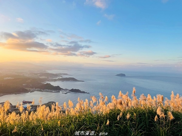 20211211_171615.jpg 20211211_171615.jpg