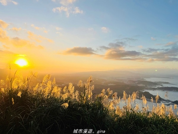 20211211_171616.jpg 20211211_171616.jpg