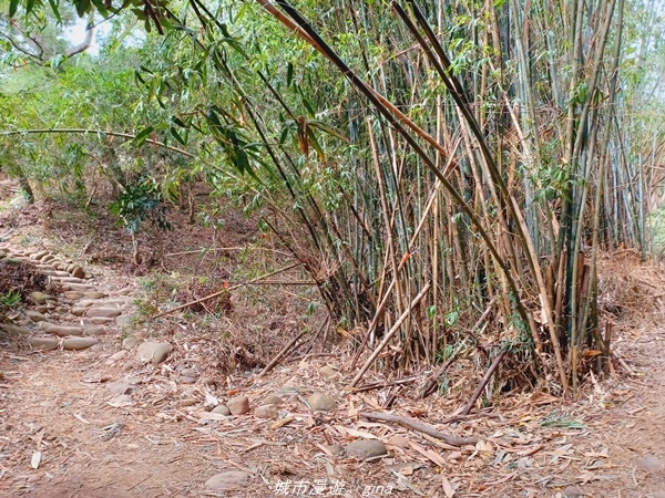 20211225_101120.jpg 20211225_101120.jpg