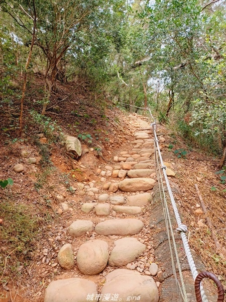 20211225_101203.jpg 20211225_101203.jpg