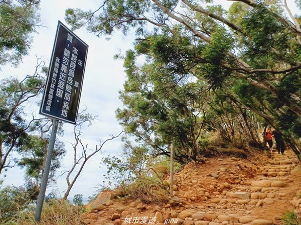 20211225_102249.jpg 20211225_102249.jpg