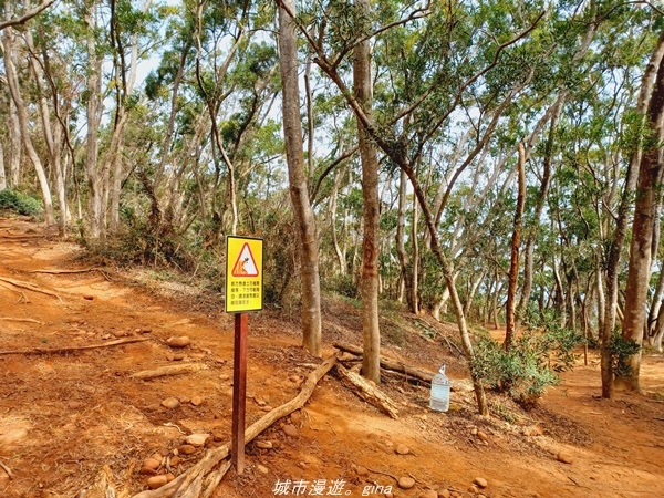 20211225_103939.jpg 20211225_103939.jpg