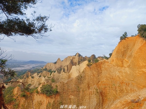 20211225_104033.jpg 20211225_104033.jpg