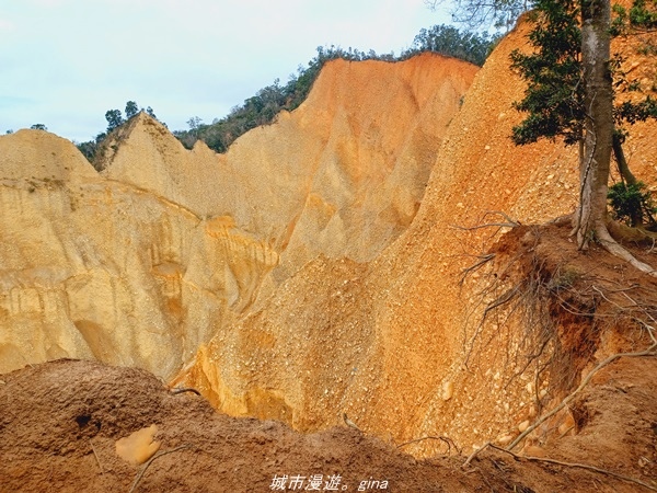 20211225_105734.jpg 20211225_105734.jpg