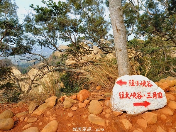 20211225_105426.jpg 20211225_105426.jpg