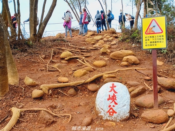 20211225_111825.jpg 20211225_111825.jpg