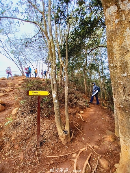 20211225_112003.jpg 20211225_112003.jpg