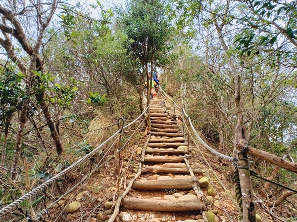 20211225_113355.jpg 20211225_113355.jpg