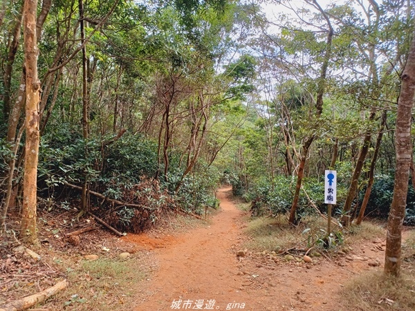 20211225_123837.jpg 20211225_123837.jpg