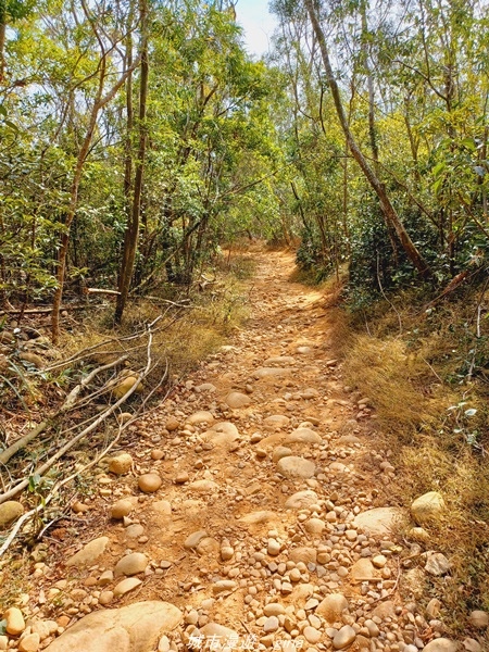 20211225_131027.jpg 20211225_131027.jpg