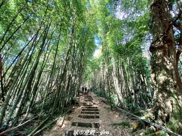 20211231_100104.jpg 20211231_100104.jpg