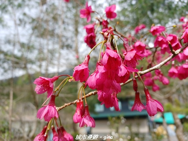 20211231_100106.jpg 20211231_100106.jpg