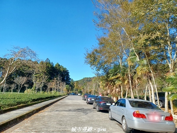 20211231_100201.jpg 20211231_100201.jpg