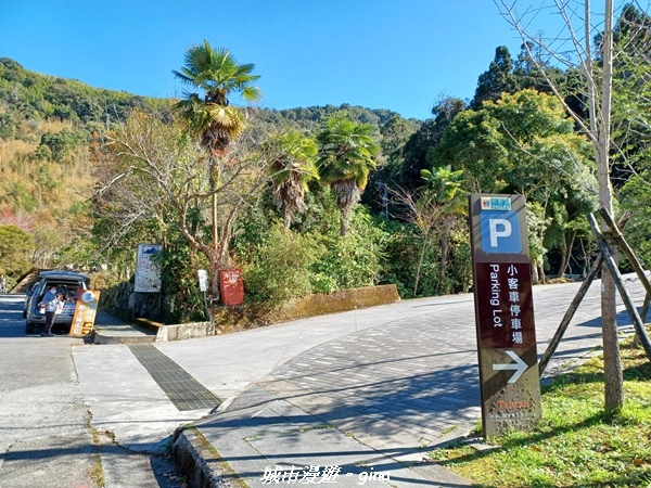 【嘉義阿里山鄉】美景盡收。 小百岳集起來。 No.60小百岳