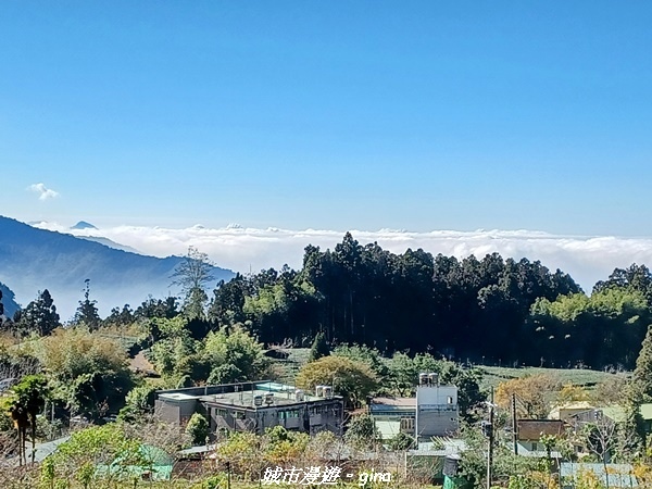 20211231_101059.jpg 20211231_101059.jpg