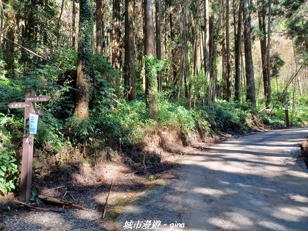 20211231_101223.jpg 20211231_101223.jpg