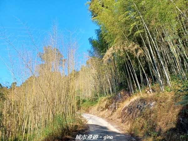 20211231_101735.jpg 20211231_101735.jpg