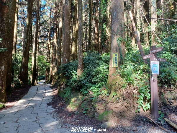 20211231_101213.jpg 20211231_101213.jpg