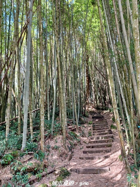 20211231_104553.jpg 20211231_104553.jpg