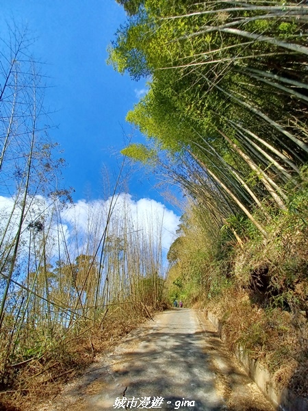 20211231_103902.jpg 20211231_103902.jpg