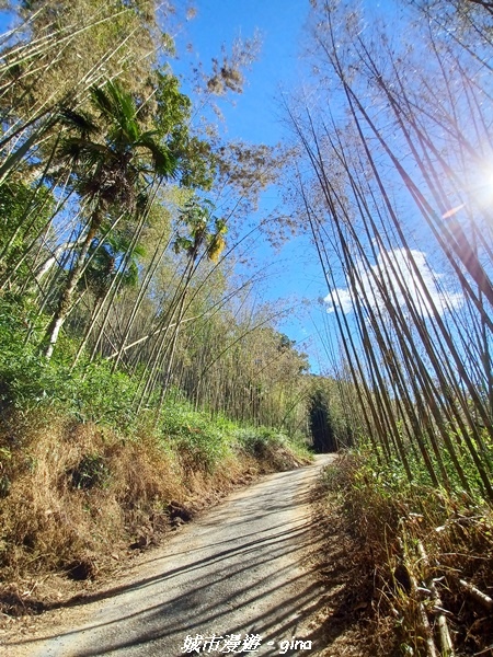 20211231_102109.jpg 20211231_102109.jpg