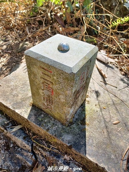 20211231_102918.jpg 20211231_102918.jpg