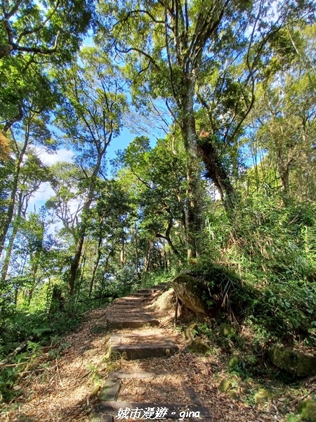 20211231_105058.jpg 20211231_105058.jpg