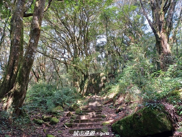 20211231_105629.jpg 20211231_105629.jpg