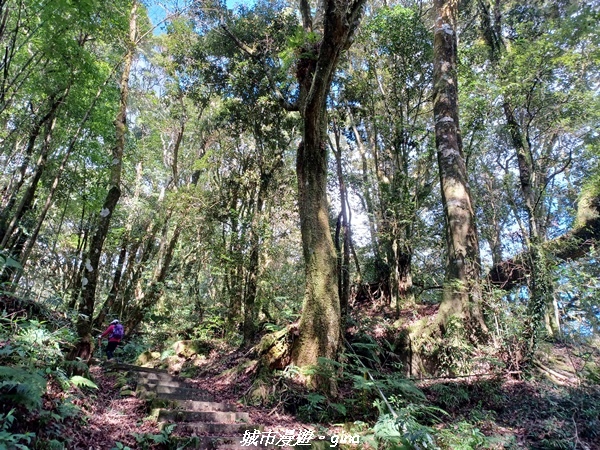 20211231_105448.jpg 20211231_105448.jpg