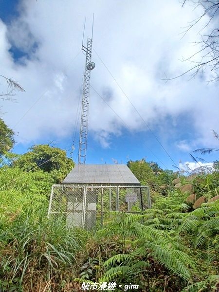 【嘉義阿里山鄉】美景盡收。 小百岳集起來。 No.60小百岳