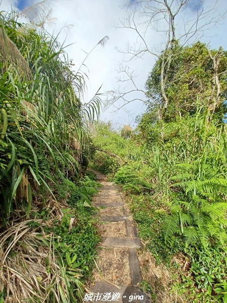 【嘉義阿里山鄉】美景盡收。 小百岳集起來。 No.60小百岳