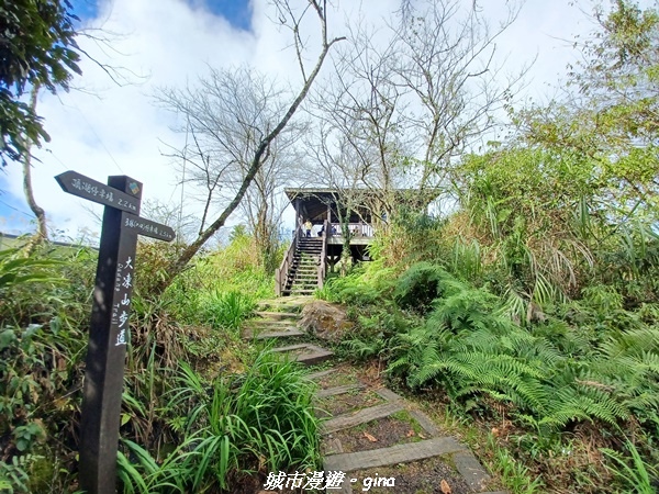 【嘉義阿里山鄉】美景盡收。 小百岳集起來。 No.60小百岳