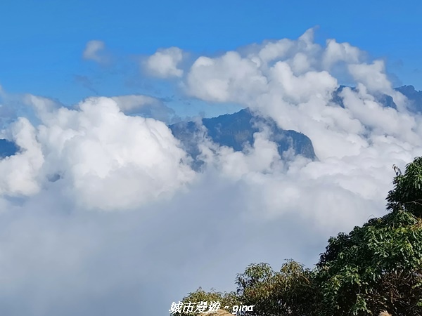 20211231_111514.jpg 20211231_111514.jpg