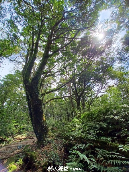 20211231_114510.jpg 20211231_114510.jpg