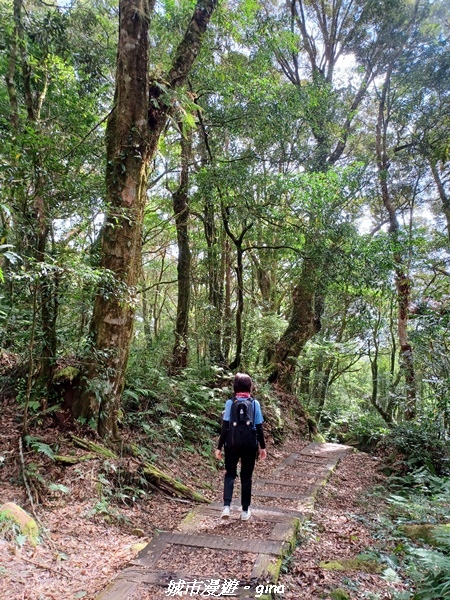 20211231_114428.jpg 20211231_114428.jpg