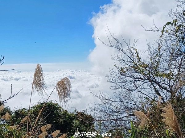 【嘉義阿里山鄉】美景盡收。 小百岳集起來。 No.60小百岳