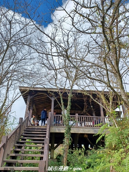 20211231_114144.jpg 20211231_114144.jpg