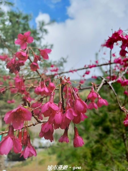 20211231_122426.jpg 20211231_122426.jpg