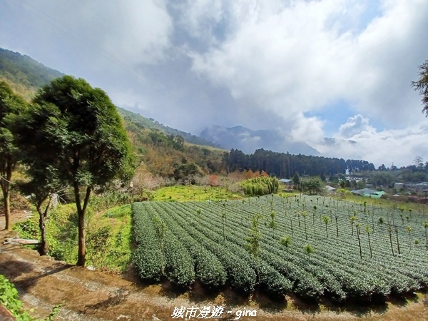 20211231_121901.jpg 20211231_121901.jpg