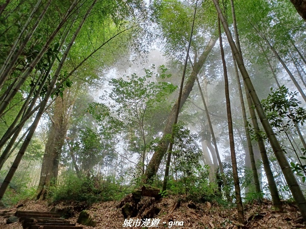 20211231_115052.jpg 20211231_115052.jpg