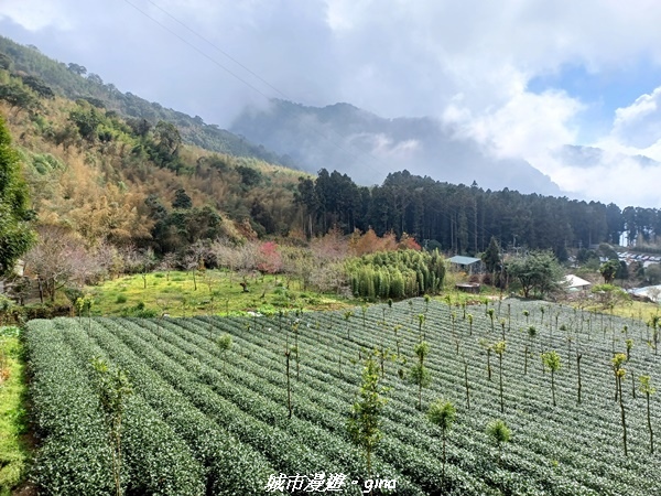 20211231_121842.jpg 20211231_121842.jpg